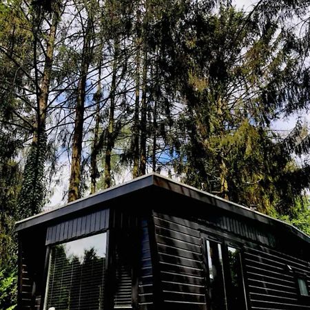 Heerlijk Chalet Midden In De Natuur Putten Exterior photo